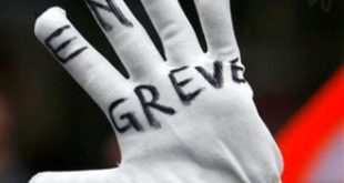 greve