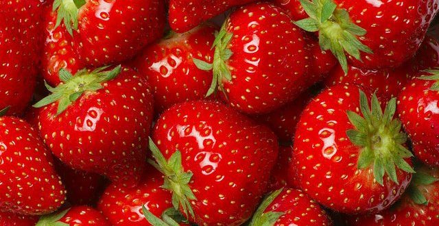 fraise