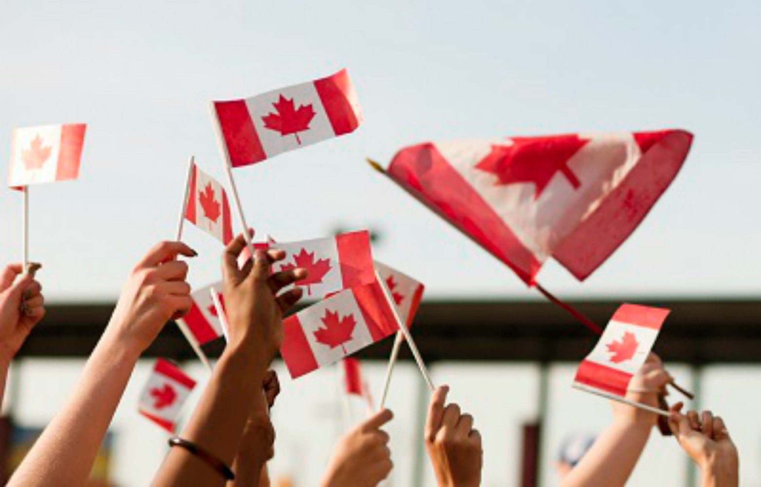 Канада международные организации. День Канады. Молодежь Канады. Культура Канады. Канада люди.