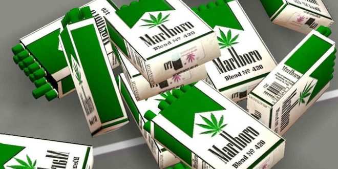 Мальборо выпускает сигареты с марихуаной как вывести марихуану из мочи быстро