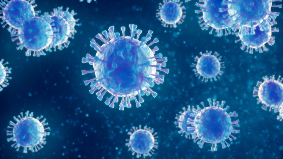 Вашингтон располагает данными об источнике коронавируса
