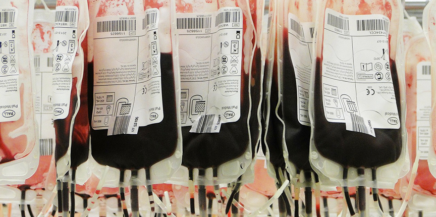 80-летняя канадка сдала за всю жизнь 96 литров крови, тем самым побила мировой рекорд