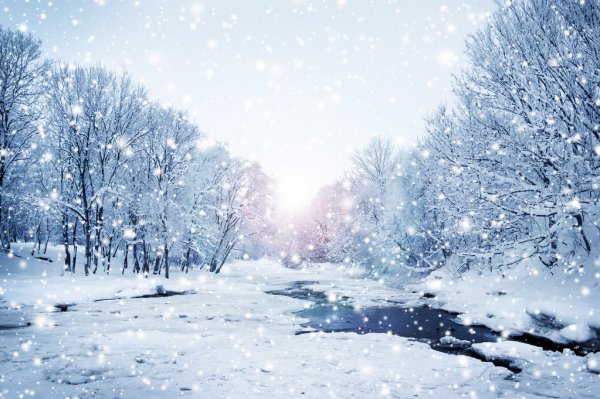 Квебекцам пора задуматься о том, как пережить зиму с приближающейся «твиндемией»