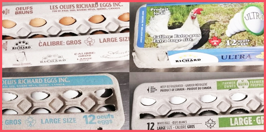 Осторожно, сальмонелла: Квебек отзывает несколько видов яиц