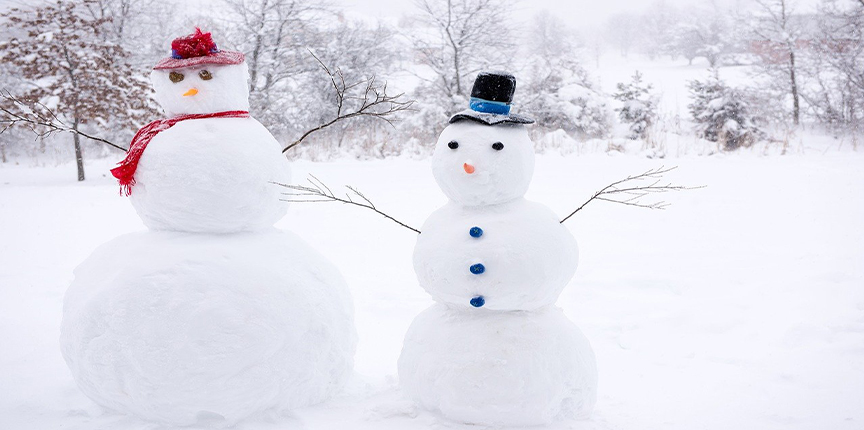 В Монреале объявлен конкурс на создание снеговиков с денежными призами