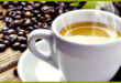 Фестиваль Café Collectif: Монреаль отмечает праздник кофе и инноваций