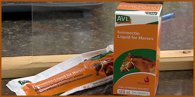 Не лучше американцев: канадцев призывают не употреблять лекарства для животных