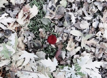 День памяти