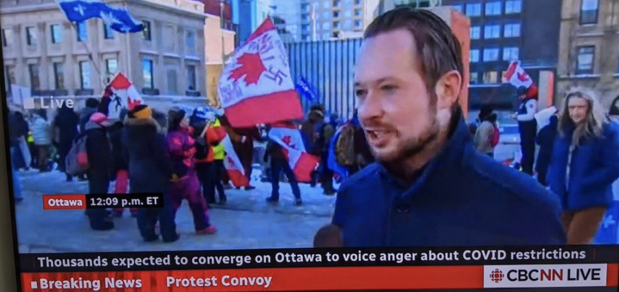 Депутата парламента Канады осудили за протестные фотографии со свастикой