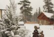 Снежный шторм в Квебеке: десятки пострадавших и ряд аварий