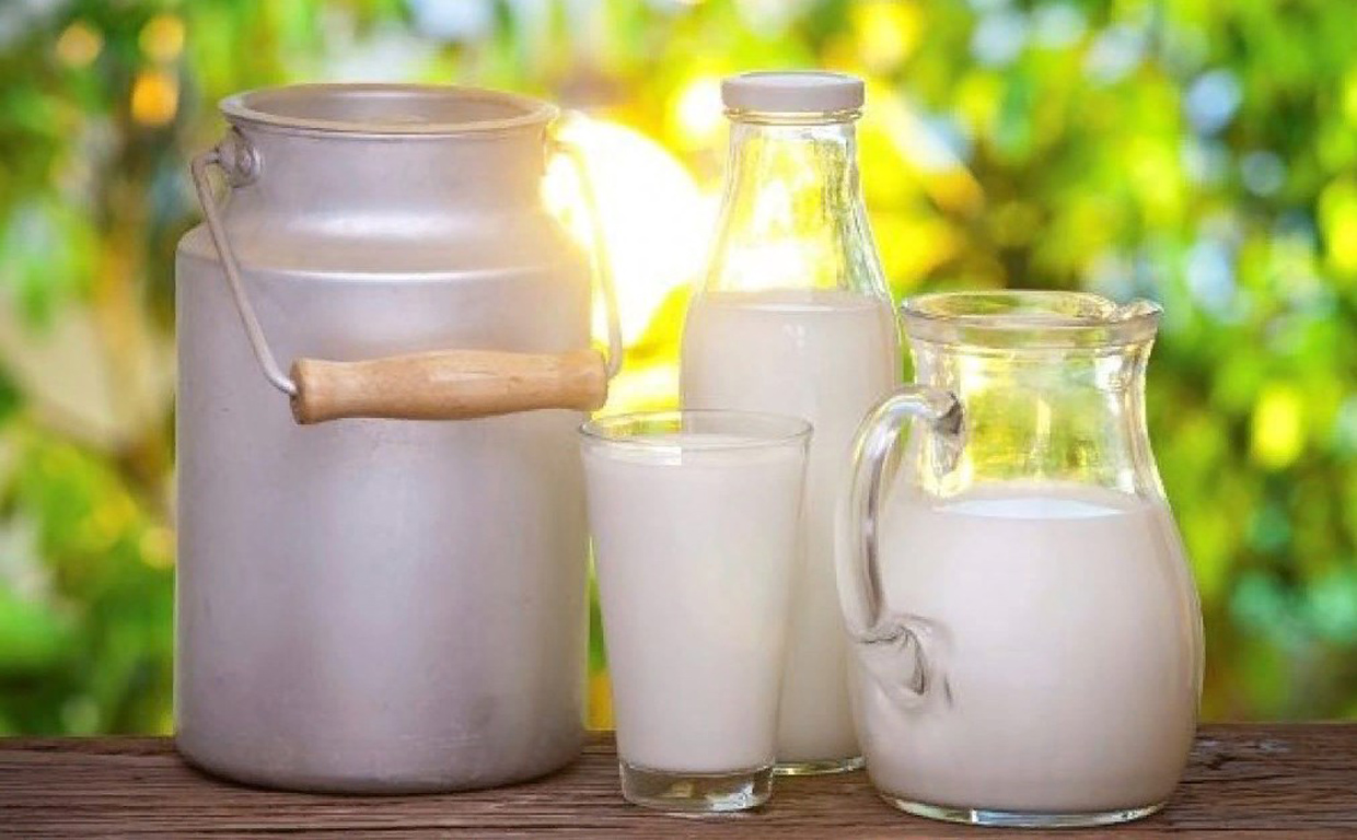 Новая Зеландия подала жалобу на Канаду из-за импорта молочных продуктов