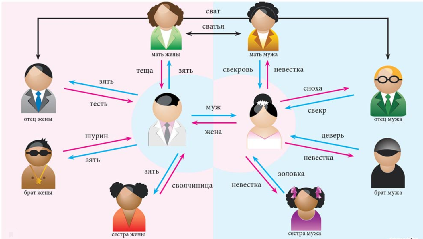 Золовка деверь Шурин таблица. Родственники кто кем приходится схема. Сестра жены для мужа кем приходится. Шурин деверь Свояк золовка. Является ли супруг родственником