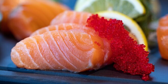 Salmon