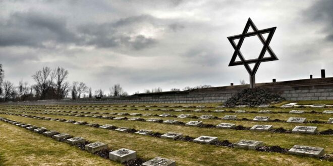 Канадская молодежь чаще склонна отрицать Холокост