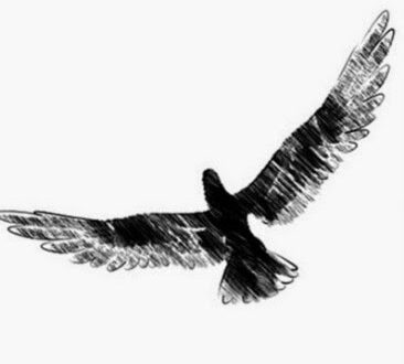 Free Bird