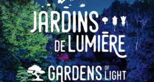 Jardins-lumiere