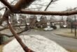 Более 300 тысяч канадцев остались без света из-за ледяного шторма